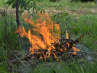 В лесах Тамбовской области запрещено разжигать костры