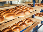 Бывшее руководство «Мичуринского хлебозавода» могут привлечь к ответственности по долгам предприятия