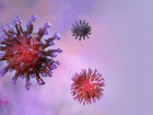 Коронавирус: количество госпитализированных тамбовчан снова растёт