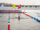 Тамбовские моржи завоевали целую россыпь наград Чемпионата по зимнему плаванию