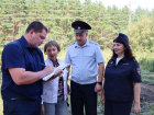 В Рассказове уничтожили 772 килограмма дикорастущей конопли