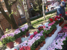 Традиционный фестиваль цветов пройдет в городском парке Тамбова 