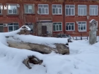 Мичуринцев беспокоит лежащее 3 года на улице дерево
