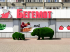 Владелец сети магазинов «Бегемот» Дмитрий Толстых: «Мы стремимся каждый день повышать качество продукции и обслуживания»