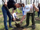 Команда «Молодежка ОНФ» посадила 40 саженцев дуба в Тамбовской области