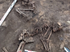 На раскопках в Петровском районе археологи обнаружили останки двух детей
