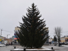 В Моршанске и Пичаеве установили живые новогодние ёлки, подаренные жителями