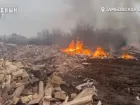 Под Тамбовом обнаружили огромную несанкционированную полыхающую свалку 