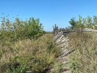 Скотомогильник в Котовске угрожает окружающей среде: прокуратура требует от властей решить проблему 