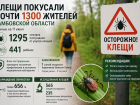 С начала сезона клещи покусали почти 1300 жителей Тамбовской области