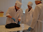 В МичГАУ открылась кафедра ветеринарии