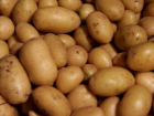 Регион планирует представить “Тамбовскую картошку” в национальном конкурсе брендов “Вкусы России”