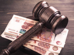 Штраф за 20 миллионов недоплаченных налогов выплатит директор сельскохозяйственной организации 