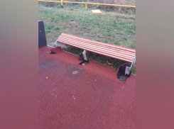 Уваровцы вырвали скамейку и разбили фонарь у только что благоустроенного пруда