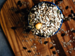 В Тамбовском районе ищут дегустатора семечек и орехов