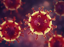 В Тамбовской области у шестерых детей выявлен коронавирус