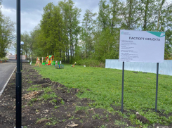 Ребёнок получил тяжёлую травму головы на детской площадке в Тамбовской области