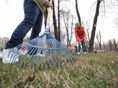 Идея «субботников» близка почти половине жителей Тамбова