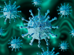 У более 29 тысяч тамбовчан подтвержден коронавирус