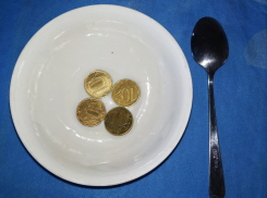 В Тамбове нуждающимся детям дадут по 40 рублей на питание