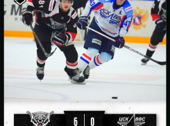 Тамбовские «волки» в сухую разгромили ЦСК ВВС