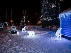 Крепкие морозы остались на каникулах 