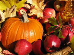 В центре Тамбова в эту субботу состоится «Осенняя ярмарка»