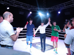 Праздник бокса в Мичуринске завершился победой местной «звезды» ринга