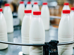 Тамбовскую фирму оштрафовали на 800 тысяч рублей за поставку поддельной «молочки»