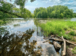 Последняя неделя мая в Тамбове будет тёплой и немного дождливой