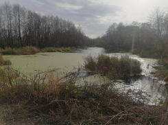 Небольшую речку в Петровском округе незаконно засыпали строительным мусором