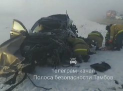 В столкновении «Kia» и фуры на трассе Тамбовской области погибла женщина и пострадали дети