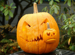 3500 рублей лишилась тамбовчанка, пытаясь продать тыкву