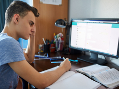 Мичуринских школьников «посадили» на дистанционное обучение до 17 февраля