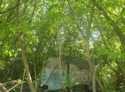 В Мичуринске под завалами обнаружено тело ребёнка