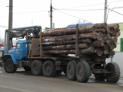 Двое мужчин обокрали Галдымский лесхоз