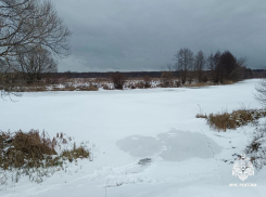 В Тамбовской области четвёртый мужчина ушёл под лёд