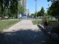 Почти 55 тысяч тамбовчан проголосовали за проекты благоустройства 