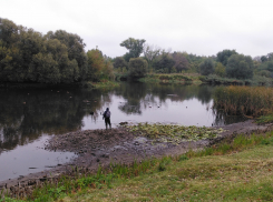 В Тамбовском районе понизился уровень реки Цны