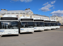 В Тамбове появятся новые автобусы и новые маршруты