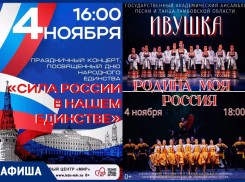 Длинные музыкальные ноябрьские выходные в афише «Блокнот Тамбов» 