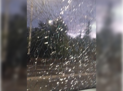 В Тамбове полиция проводит проверку по факту предполагаемого обстрела автобуса