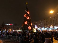 В Тамбове «Новогоднюю поляну» перенесли в Парк культуры и отдыха