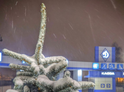 На Тамбов надвигаются воздушные массы, несущие 15-градусный мороз