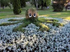 Весна близко: дизайнеры Зеленхоза в Тамбове готовятся к украшению клумб