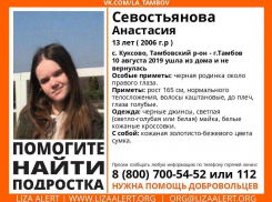В Тамбовской области пропала 13-летняя девочка