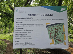 Липецкое ООО «СУ1», сорвавшее сроки благоустройства тамбовских объектов, снова попало в реестр недобросовестных поставщиков