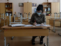 Вирусы атакуют! Пять классов общеобразовательных школ Тамбова закрыты на карантин 