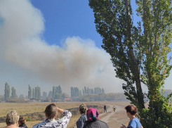 Тамбовскую область охватили пожары, которые угрожают населённым пунктам