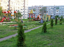 Домкомы решали, каким быть тамбовским дворам